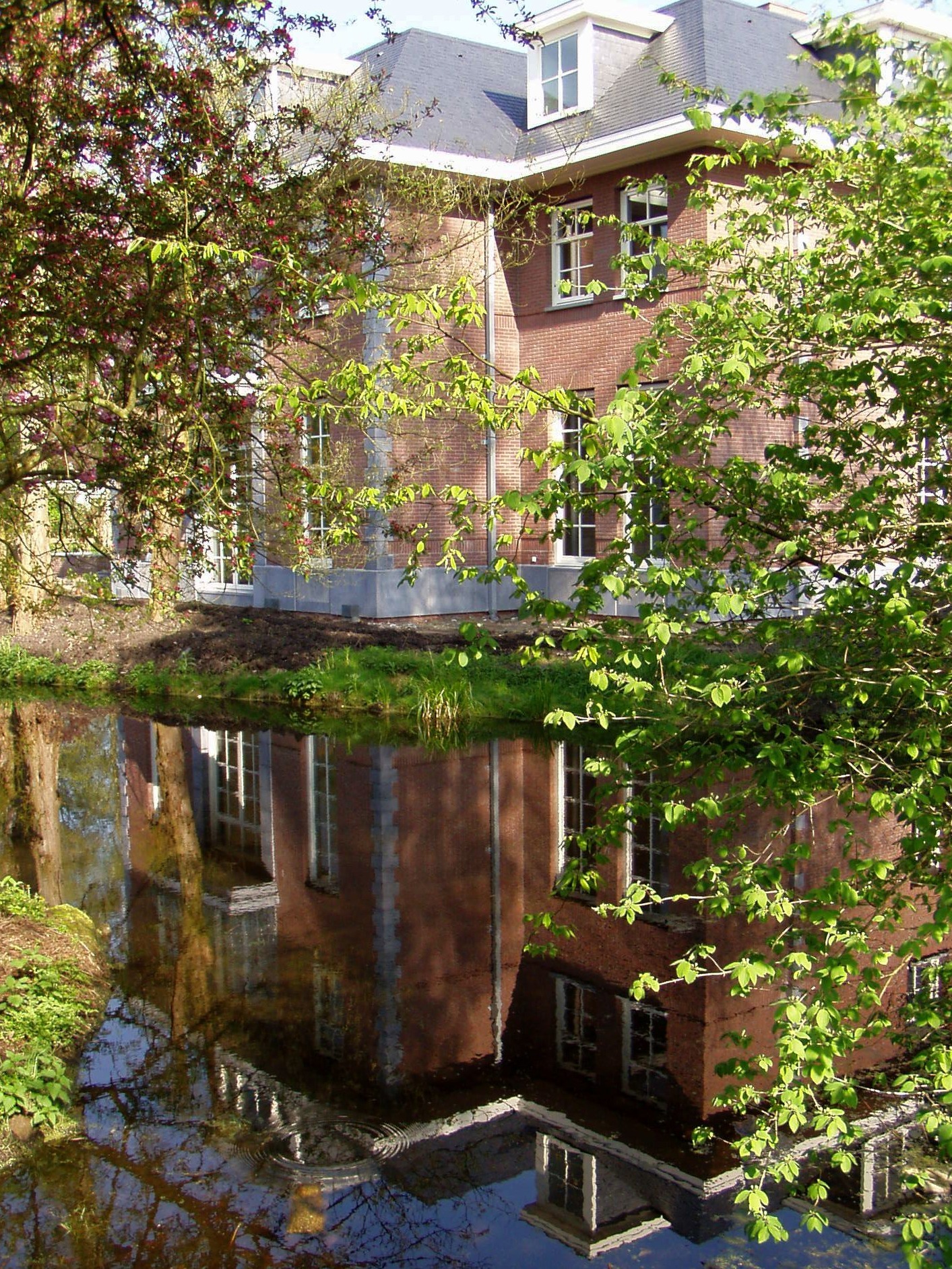 image alt