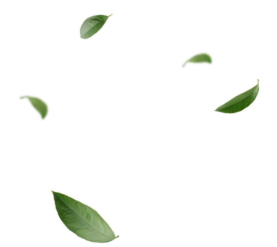 Оптовые поставка чая Greenfield в Омске