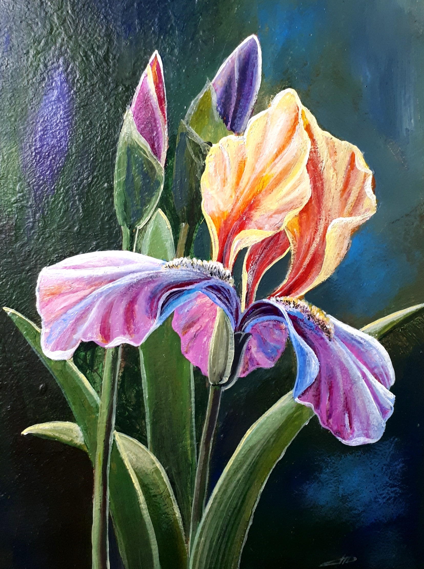 image alt