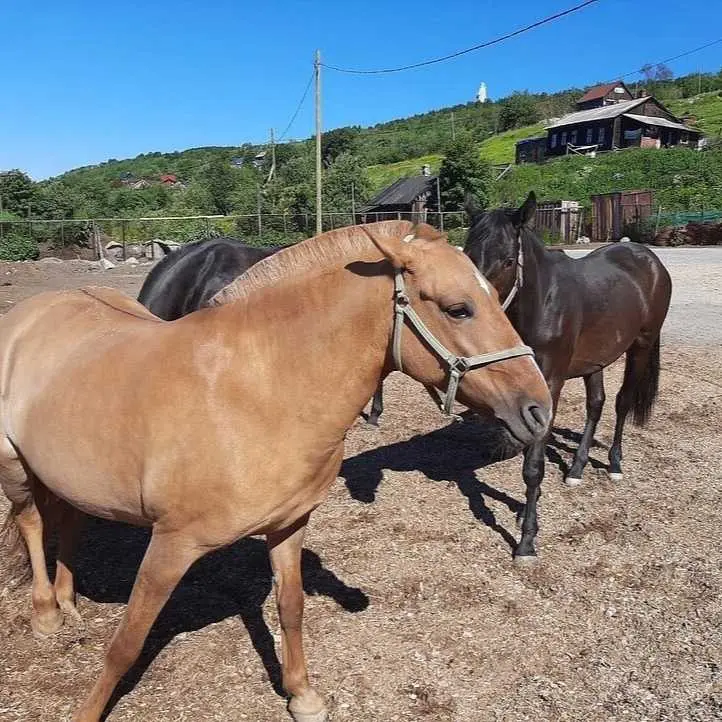 Экскурсия для команды по Мурманску