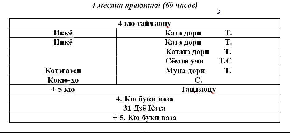 программа 4 кю