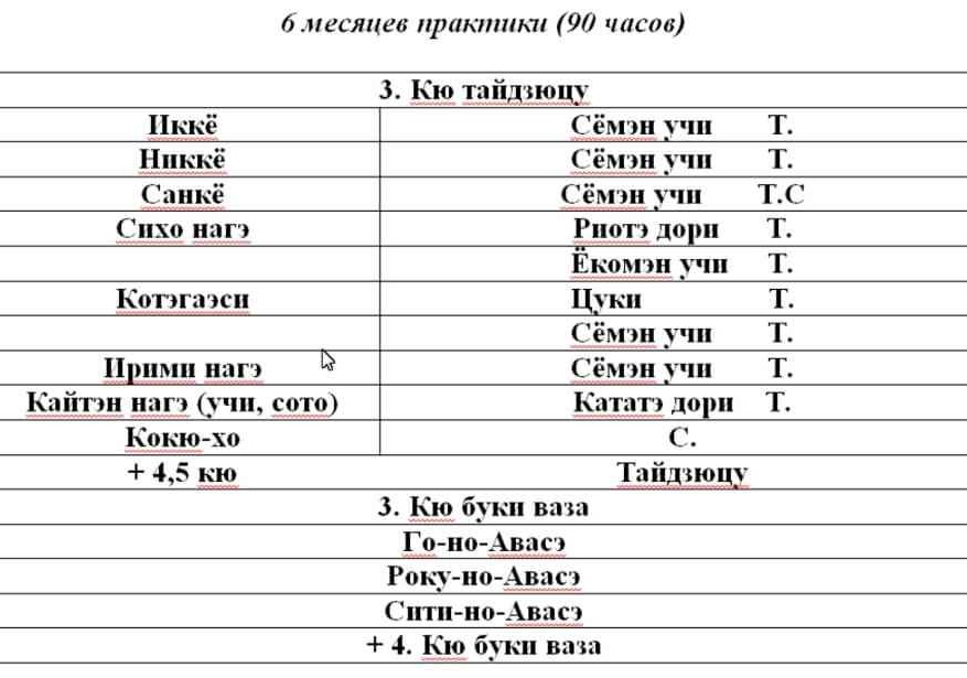 программа 3 кю