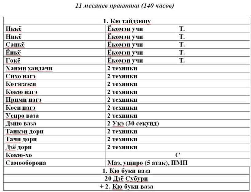 программа 1 кю