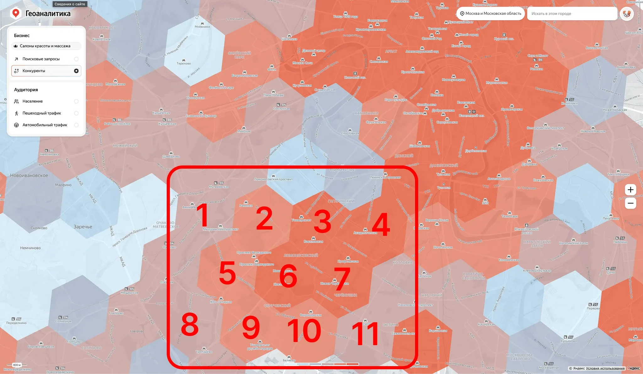 Геоаналитика по салонам красоты: на карте отмечены секторы для оценки спроса и конкуренции.