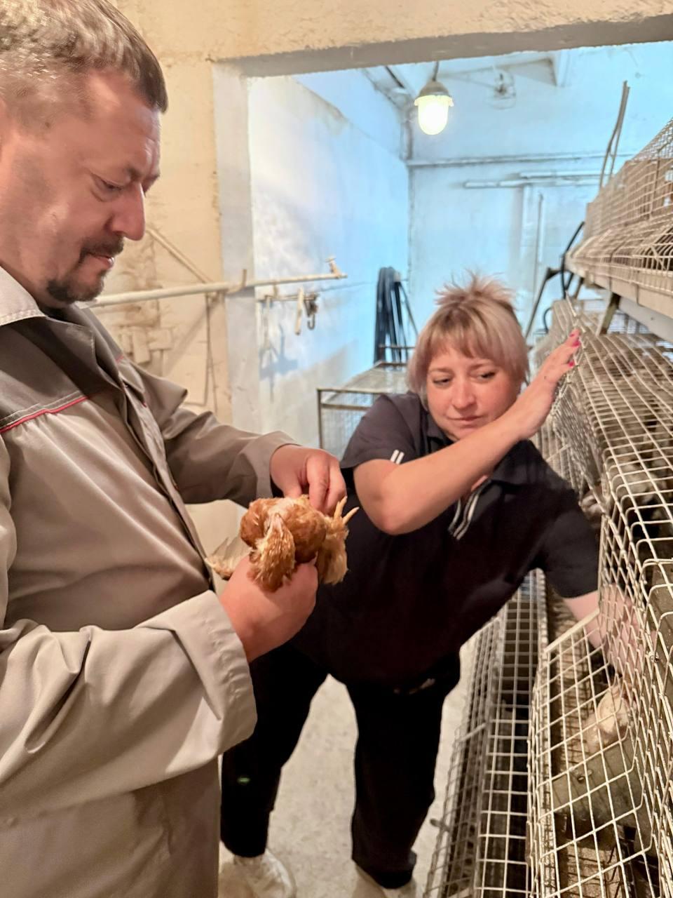 double image first part