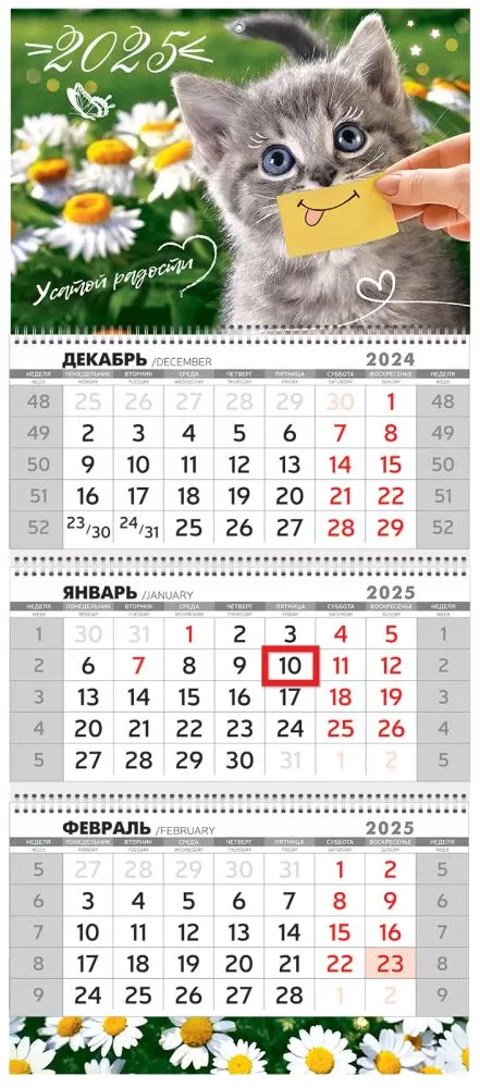 Усатой радости с кошечкой, квартальный за Новый 2025 год календарь