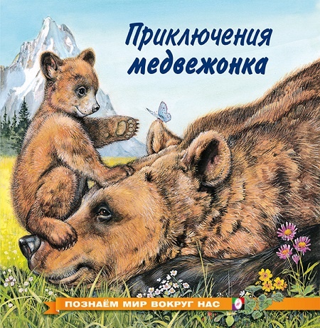 "Приключения медвежонка" познавательная детская книжка в ламинированной обложке - хороший подарок мальчикам и девочкам в Челябинске