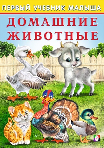 Домашние животные - первый качественный учебник малыша, - можно купить в розницу со скидкой по оптовым ценам