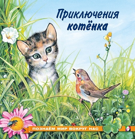 "Приключения котёнка" познавательная детская книжка в ламинированной обложке - хороший подарок мальчикам и девочкам в Челябинске