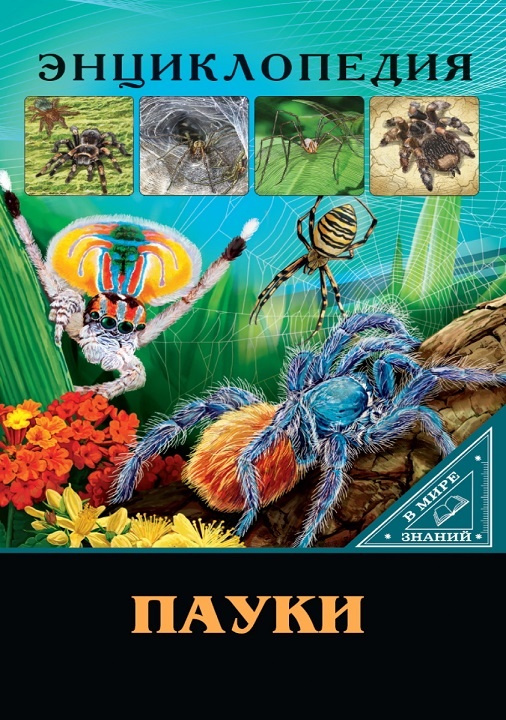 детская энциклопедия кто такие пауки, - познавательно и совсем нестрашно. Для подарков школьникам и доступного изучения биология