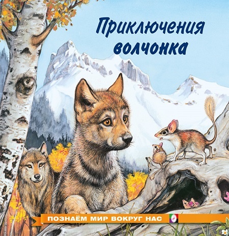 "Приключения волчёнка" познавательная детская книжка в ламинированной обложке - хороший подарок мальчикам и девочкам в Челябинске