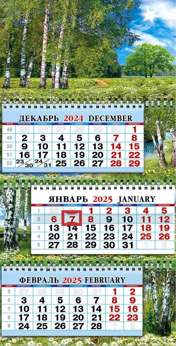 Березовая роща - квартальный 2025 трехблочный  календарь среднего размера