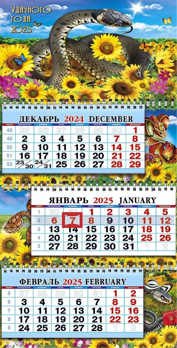 Год Змеи - в подсолнухах - квартальный 2025 трехблочный  календарь среднего размера