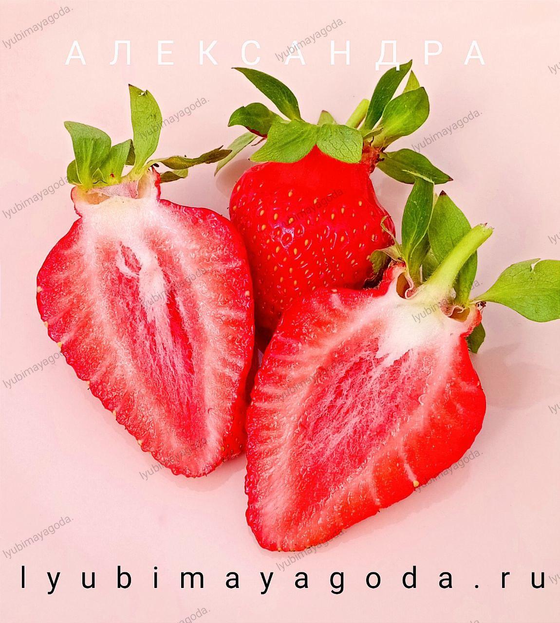 goods image