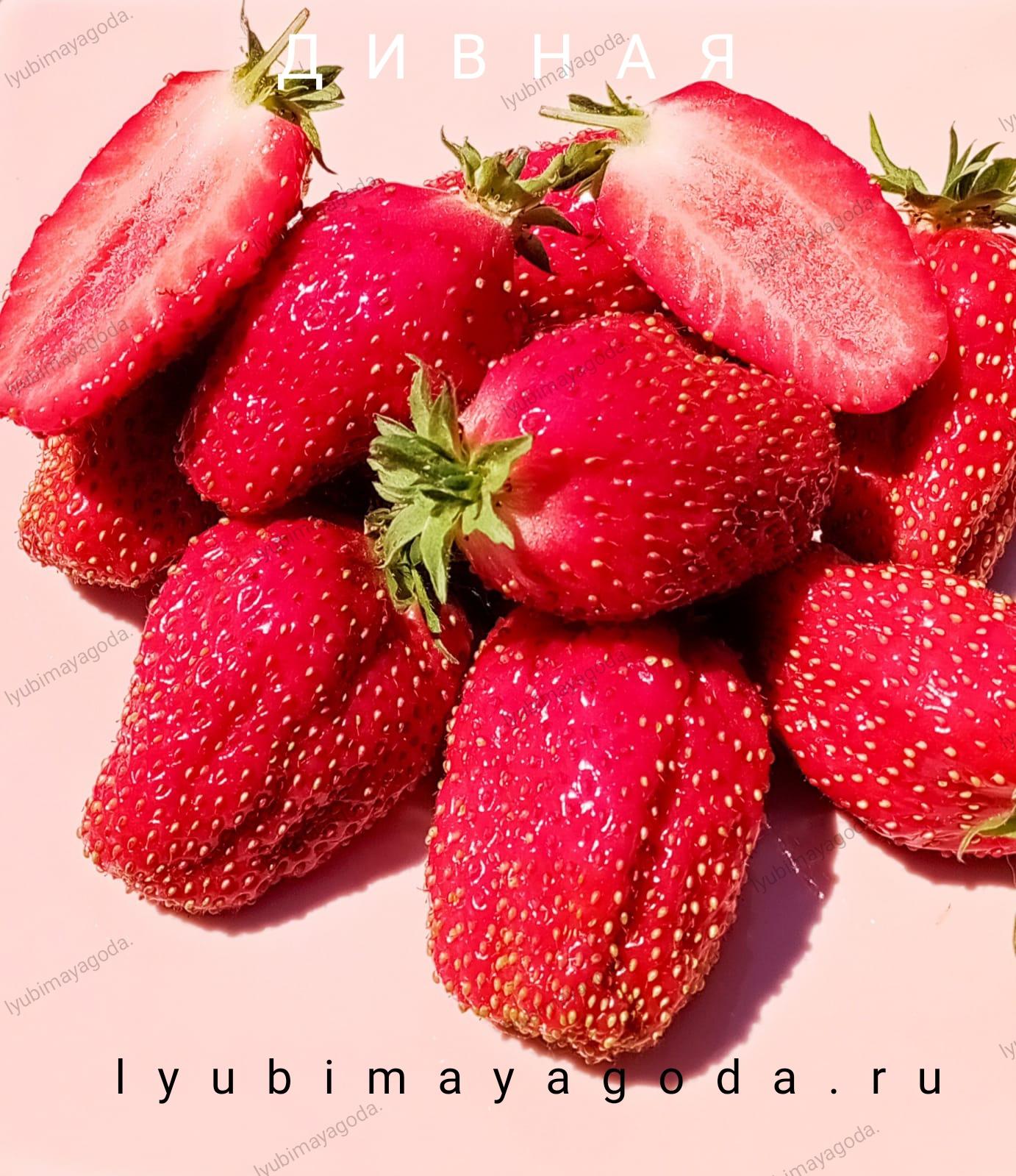 goods image