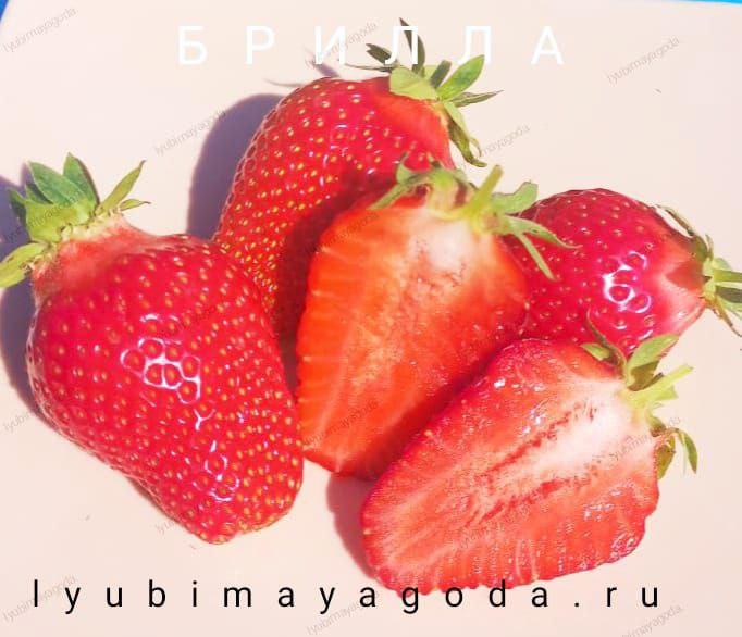 goods image