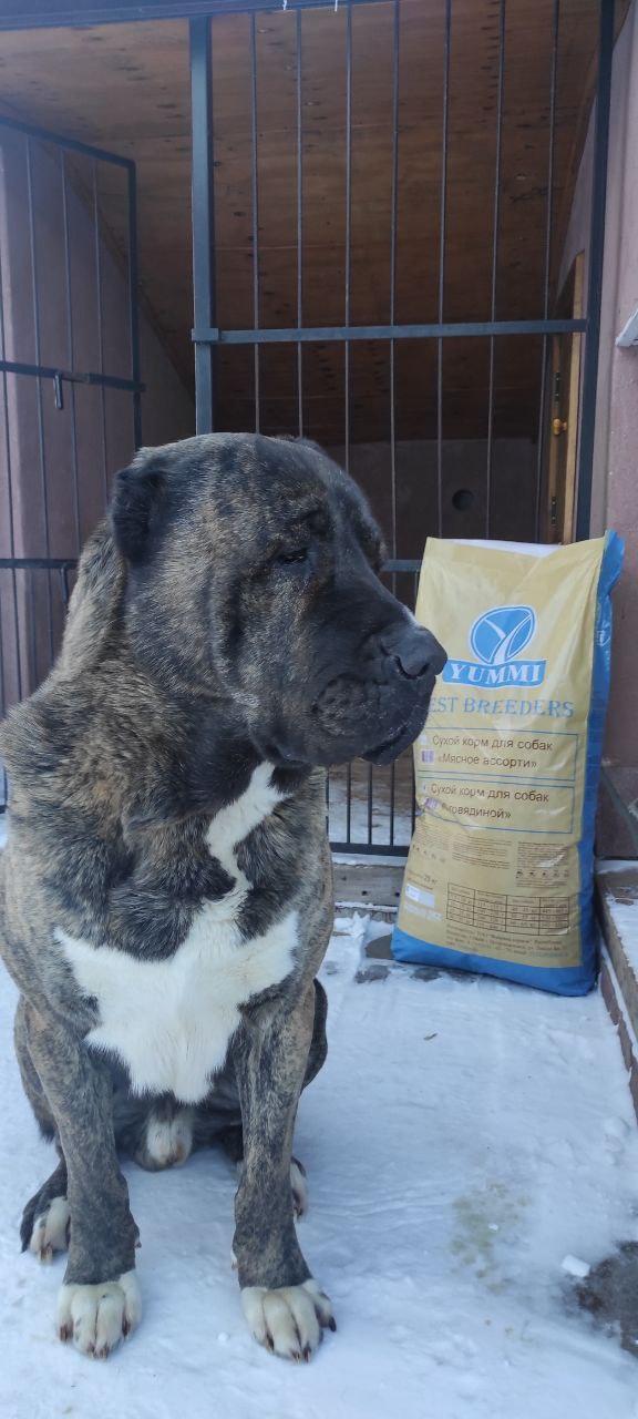 double image fisrt part