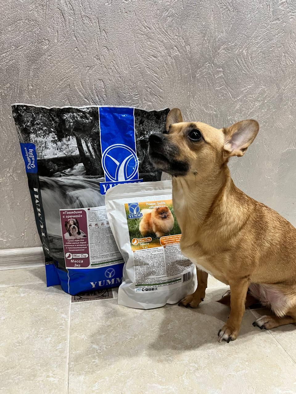 double image second part