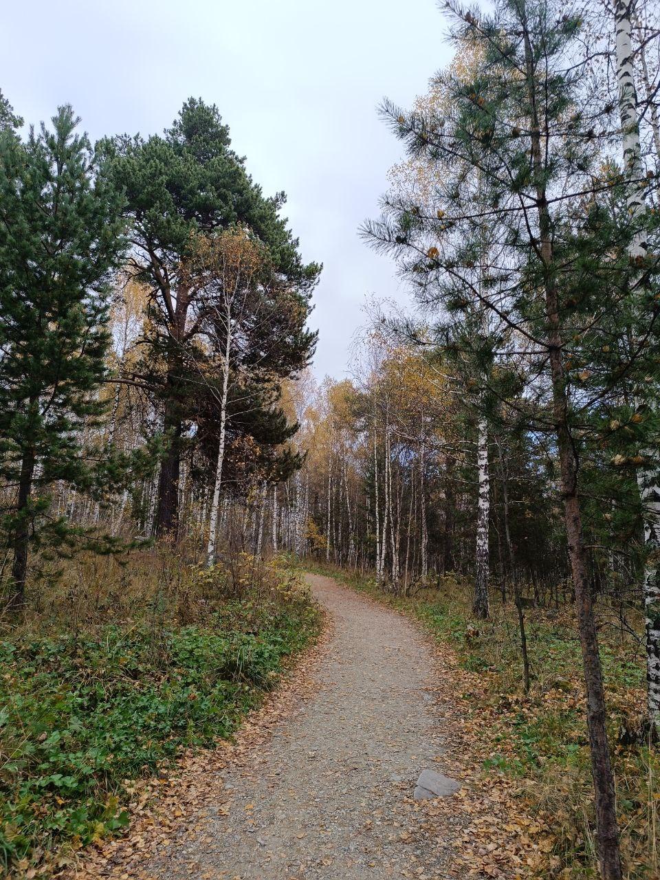 double image second part