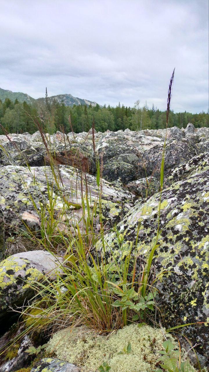 double image fisrt part