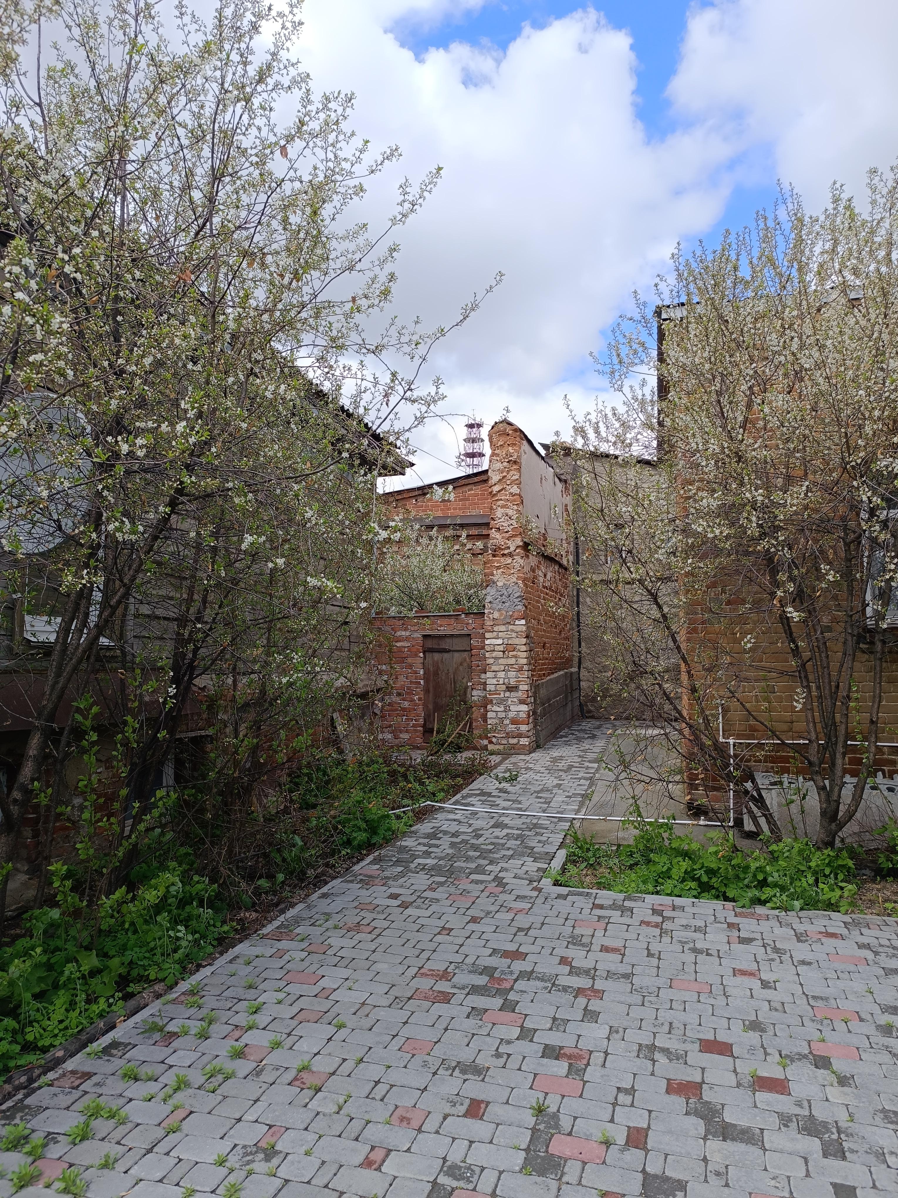 double image fisrt part