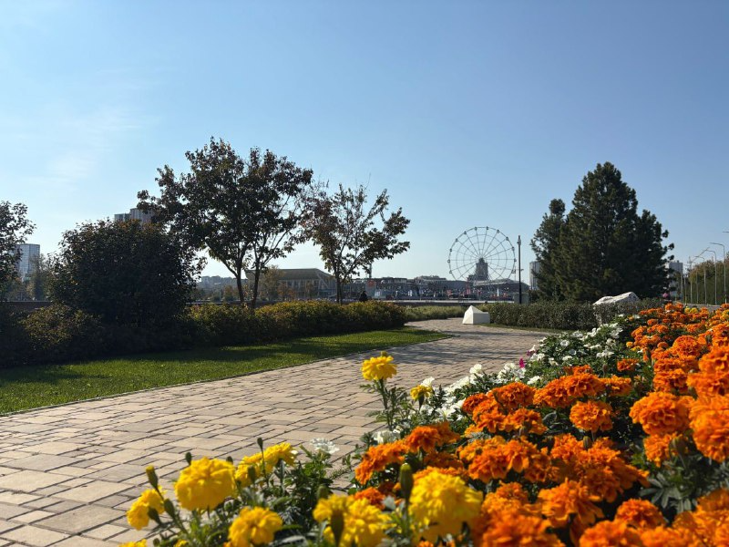 double image fisrt part