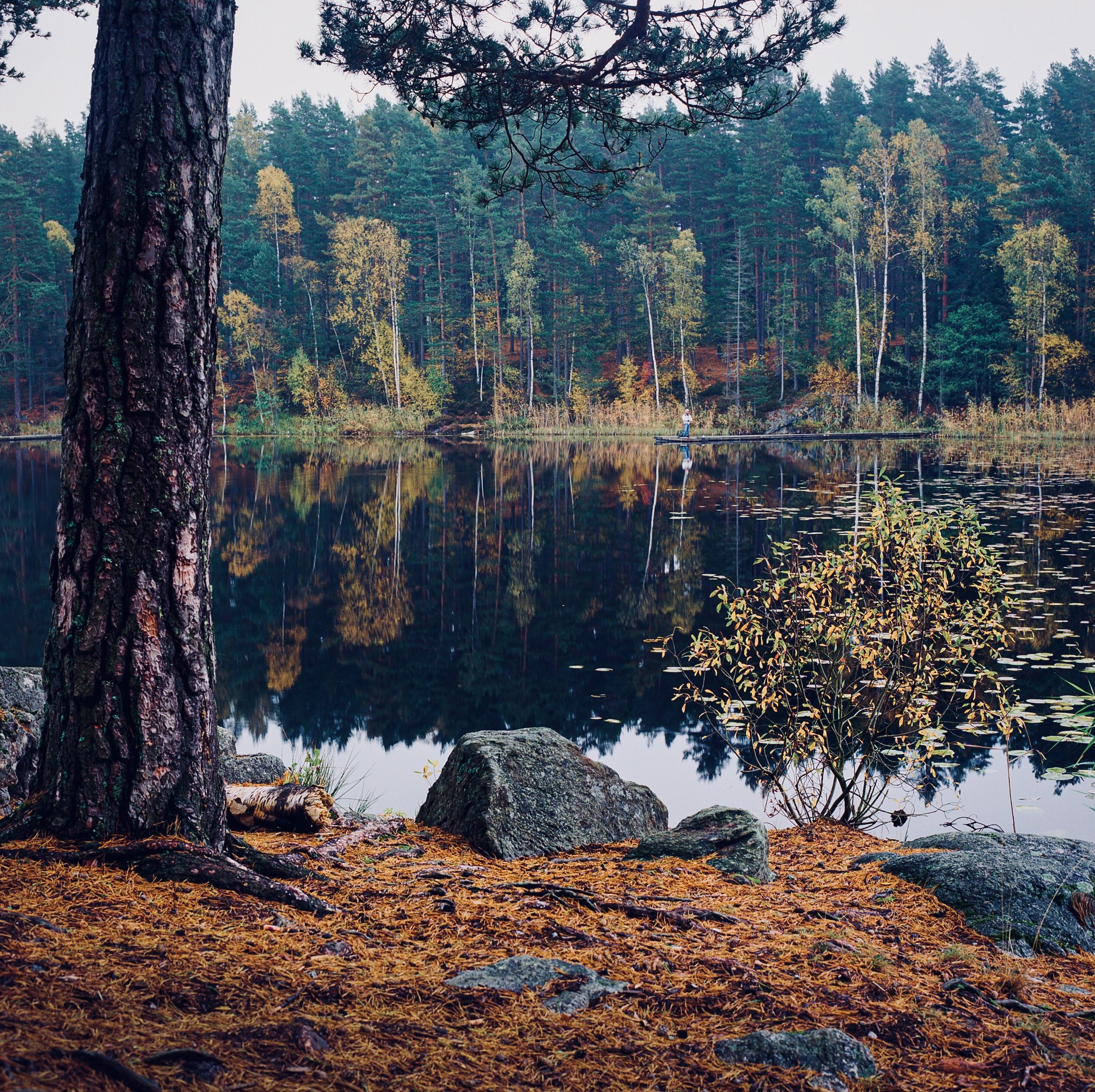 Robin Kuusela's photo, Hasselblad 500C/M  Carl Zeiss Planar CF 80/2.8  Kodak Ektar 100
