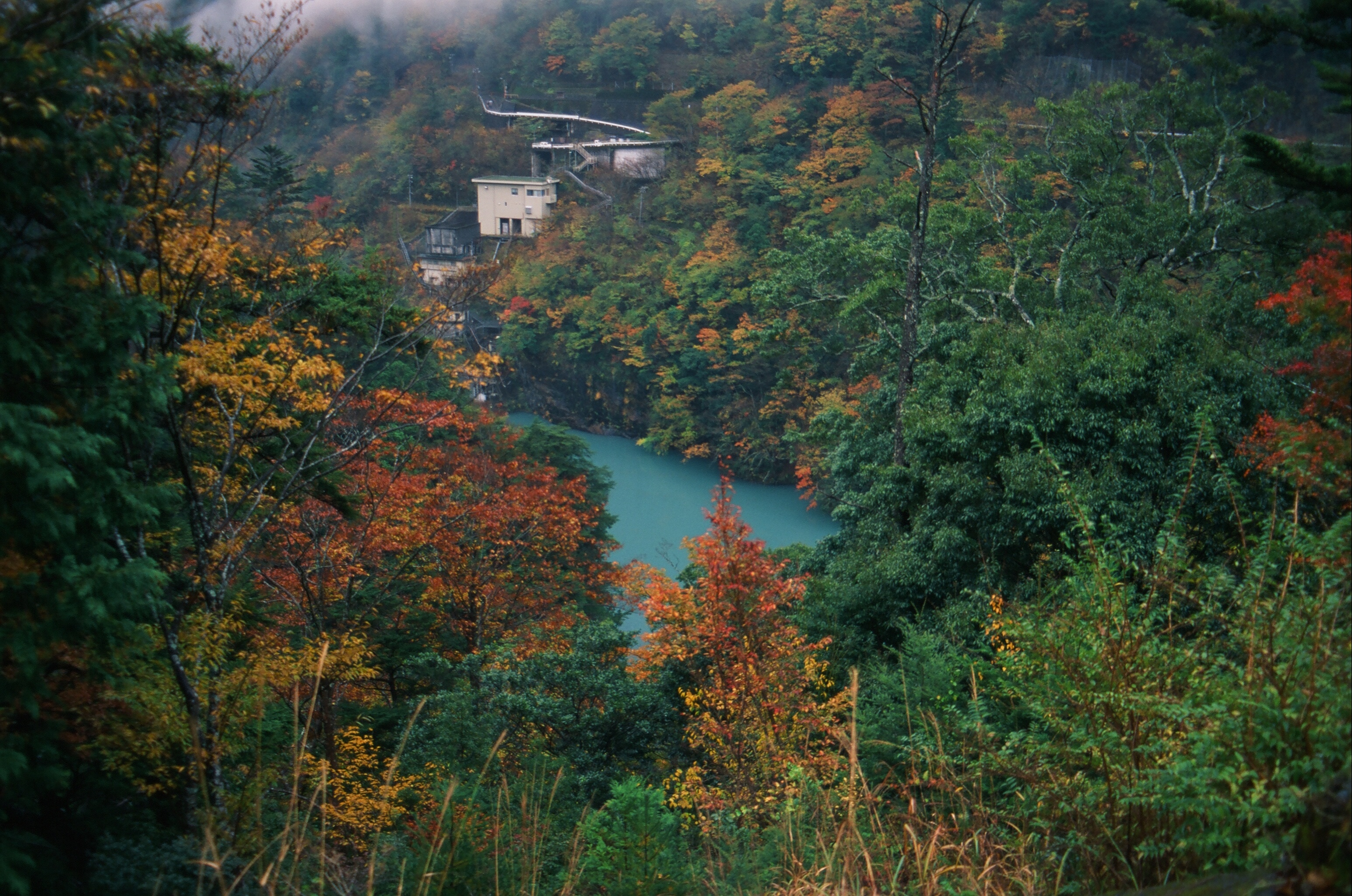 Gustav Dirgantara's photo