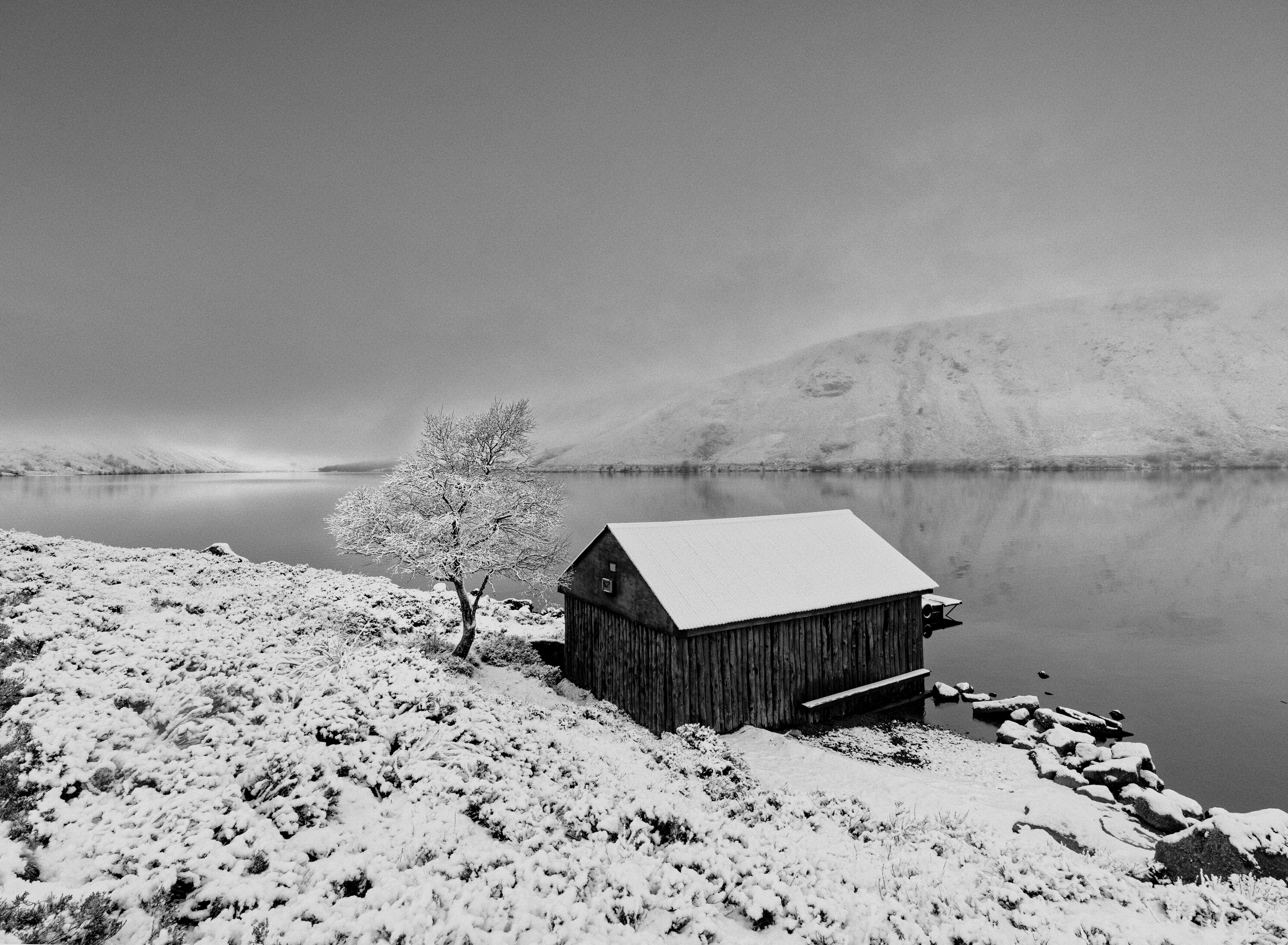 Photo by Martin Bennie