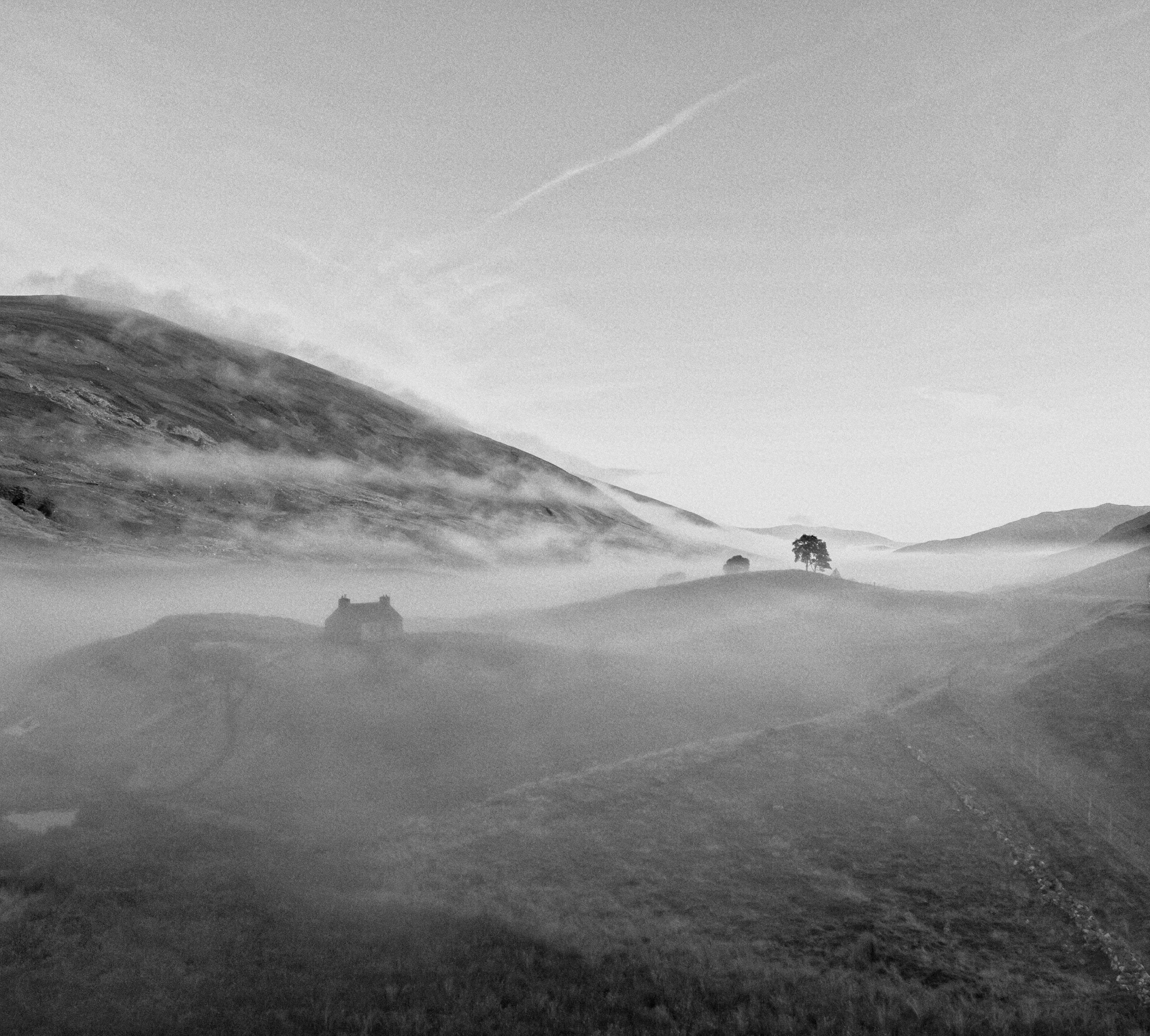 Photo by Martin Bennie