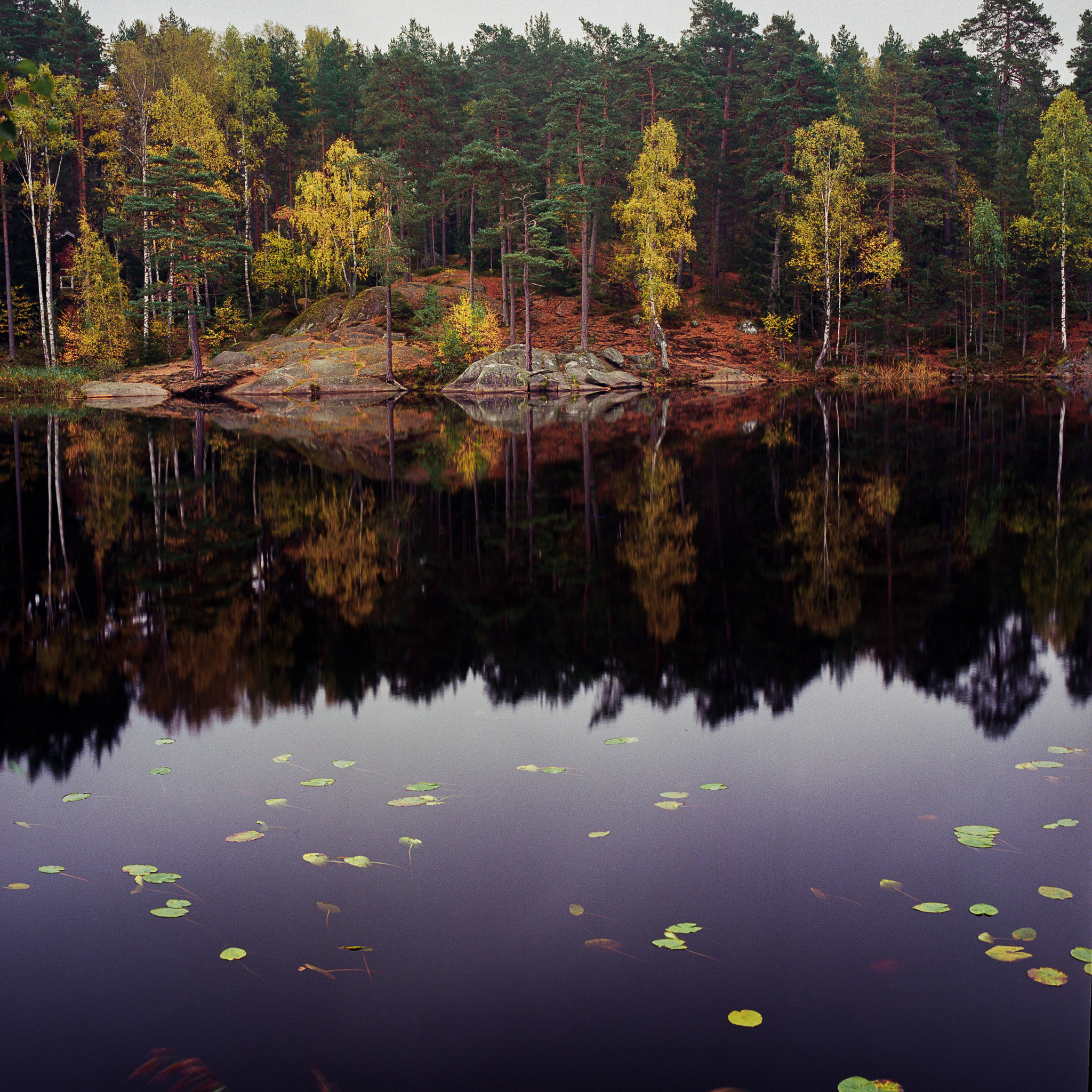 Robin Kuusela's photo