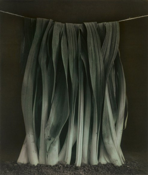 Ingar Krauss