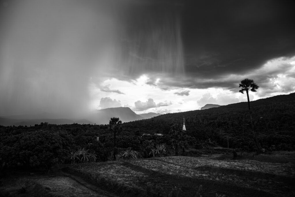 Photograph by Kevin Landwer-Johan
