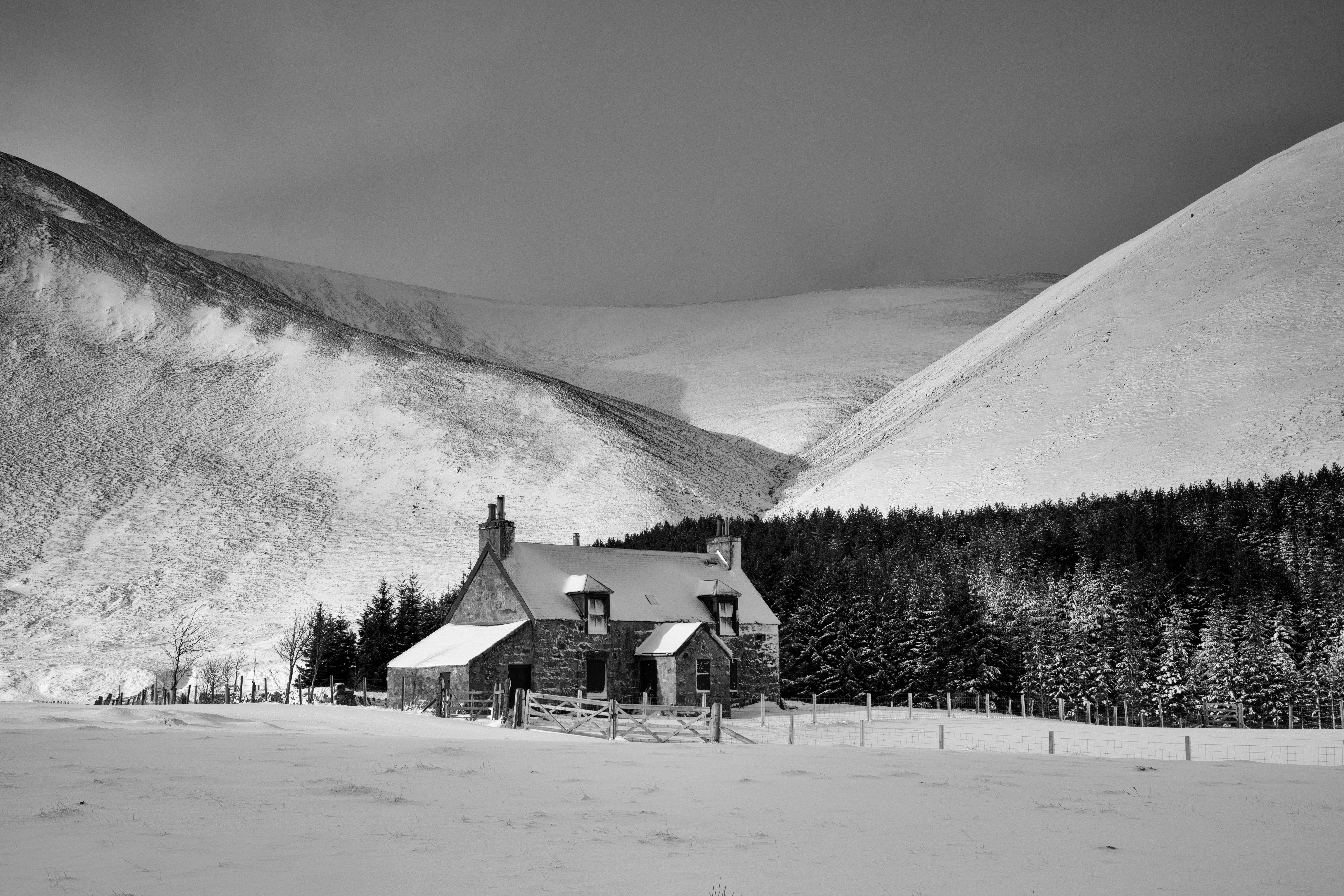 Photo by Martin Bennie