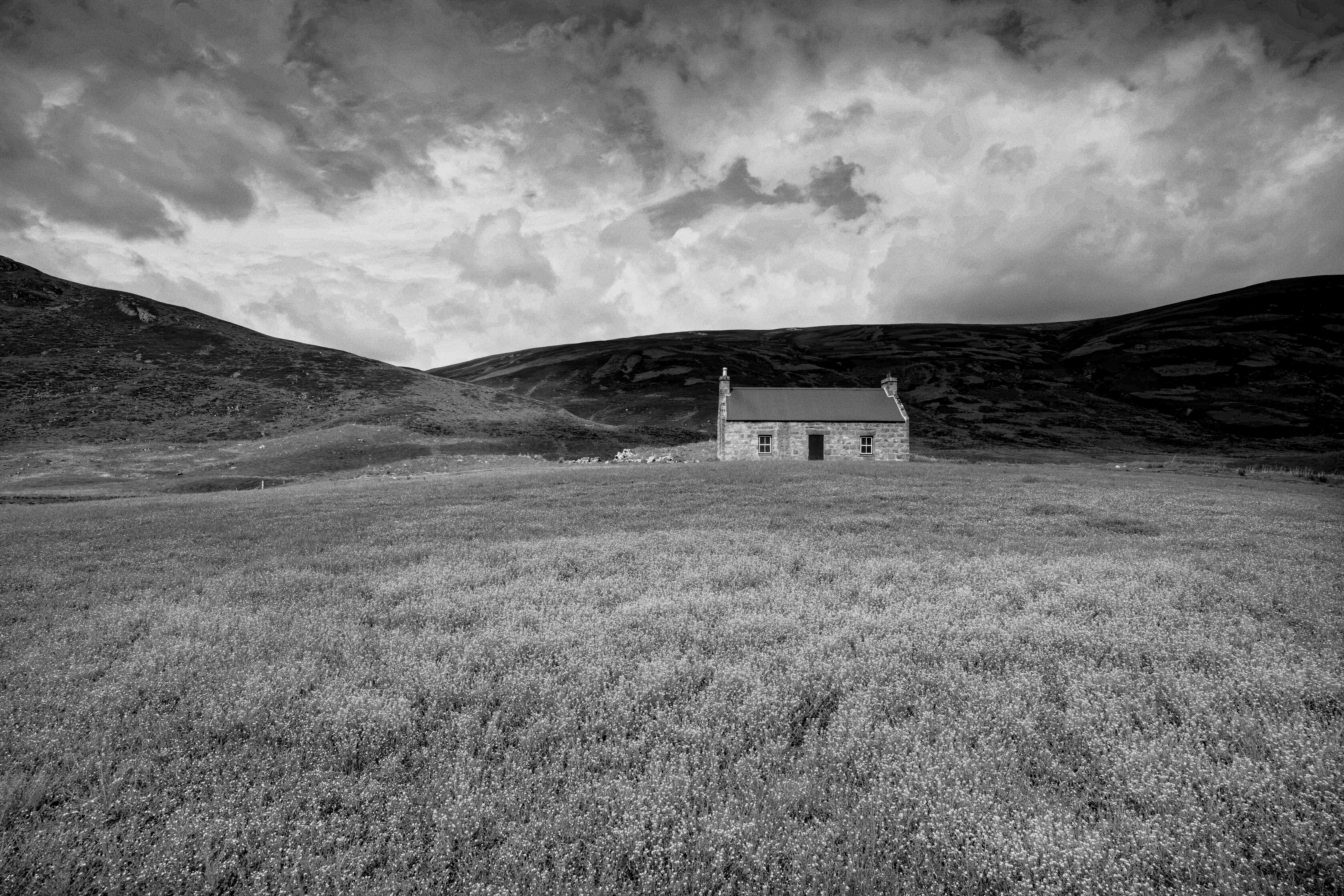 Photo by Martin Bennie