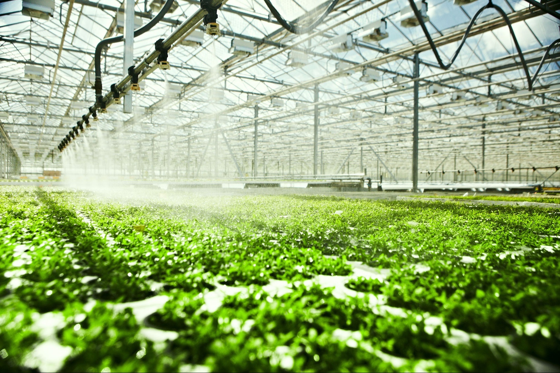 <a href="https://ru.freepik.com/free-photo/young-plants-growing-in-a-very-large-plant-commercial-greenhouse_10321191.htm#query=%D1%82%D0%B5%D0%BF%D0%BB%D0%B8%D1%86%D0%B0%20%D0%BF%D1%80%D0%BE%D0%BC%D1%8B%D1%88%D0%BB%D0%B5%D0%BD%D0%BD%D0%B0%D1%8F&position=8&from_view=search&track=ais&uuid=b50f9da5-fba2-4e9b-9ae6-5b80e5bcafc8#position=8&query=%D1%82%D0%B5%D0%BF%D0%BB%D0%B8%D1%86%D0%B0%20%D0%BF%D1%80%D0%BE%D0%BC%D1%8B%D1%88%D0%BB%D0%B5%D0%BD%D0%BD%D0%B0%D1%8F">Изображение от wayhomestudio</a> на Freepik