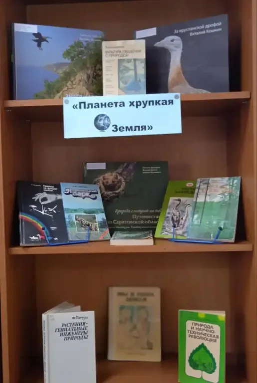 И память книга оживит