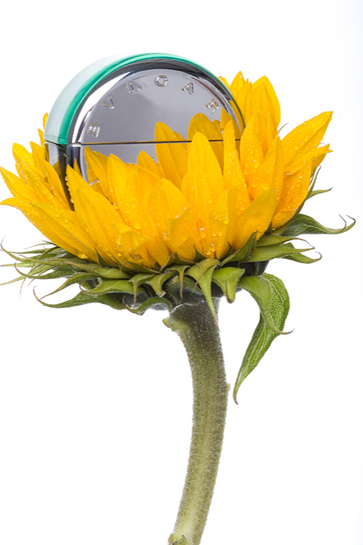 Фото работа-фотограф ВЛАДА КРАСИЛЬНИКОВА