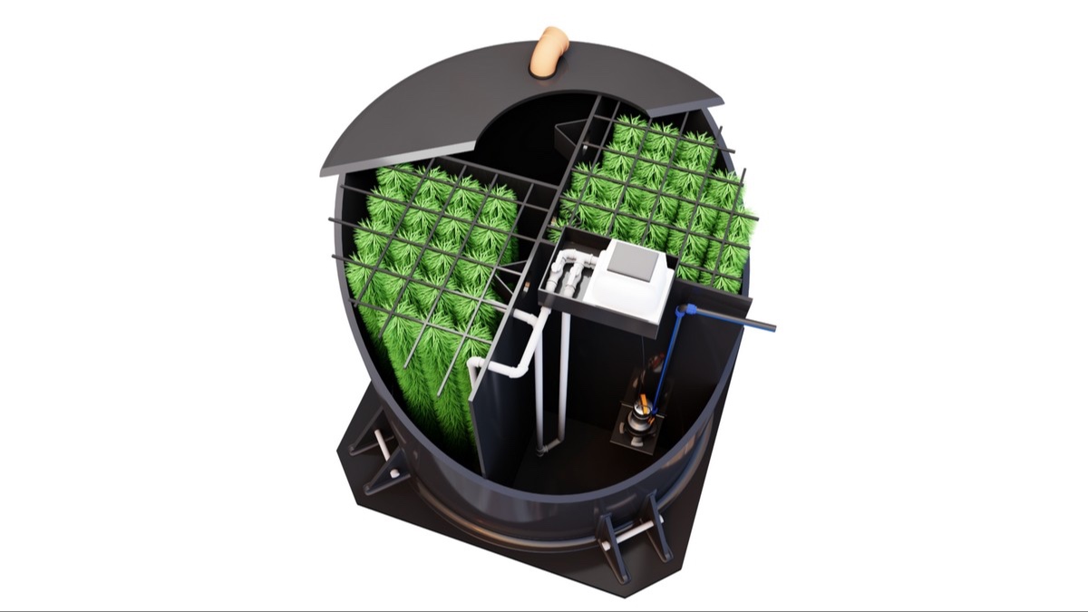 microscope preview