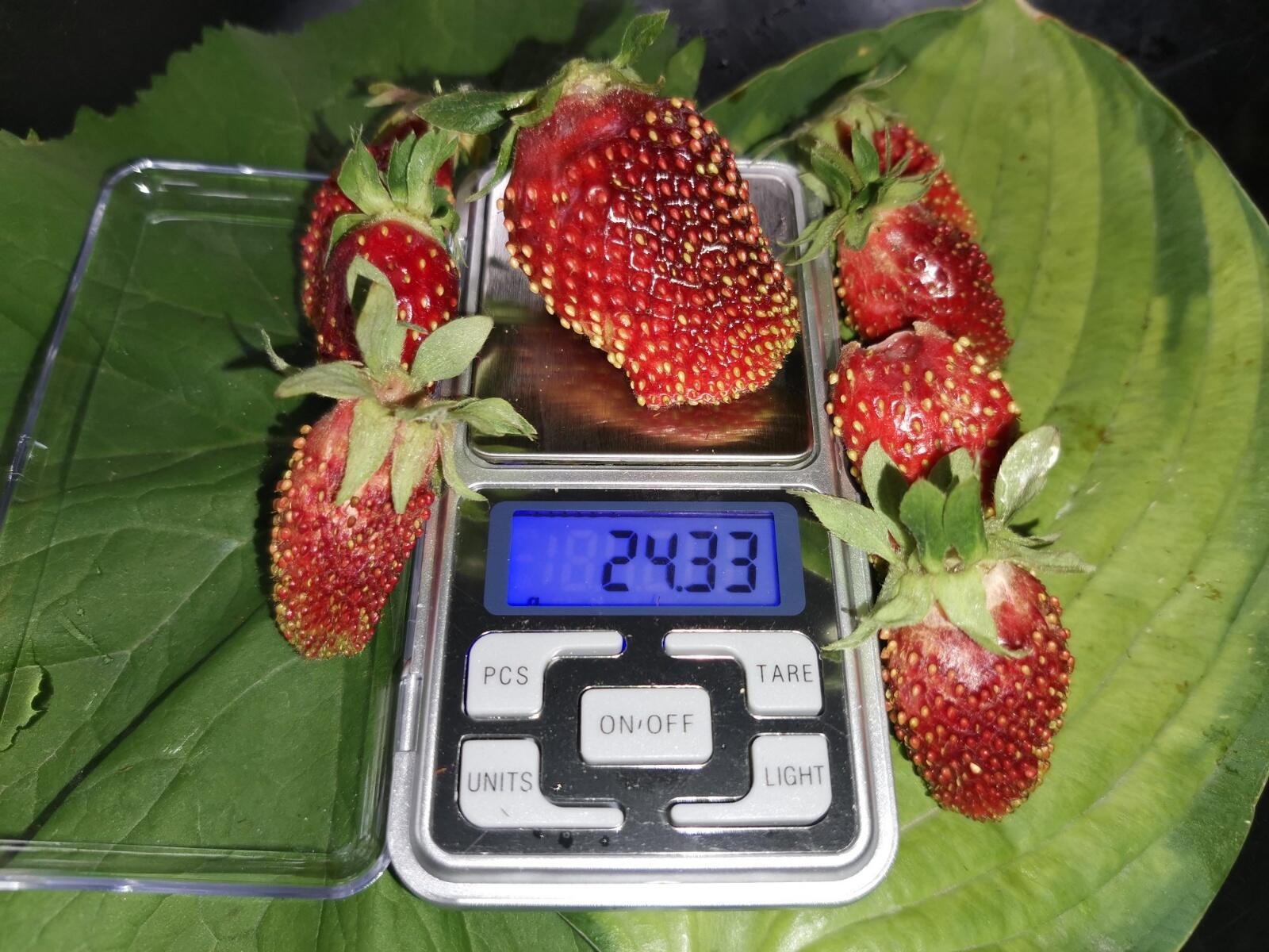goods image