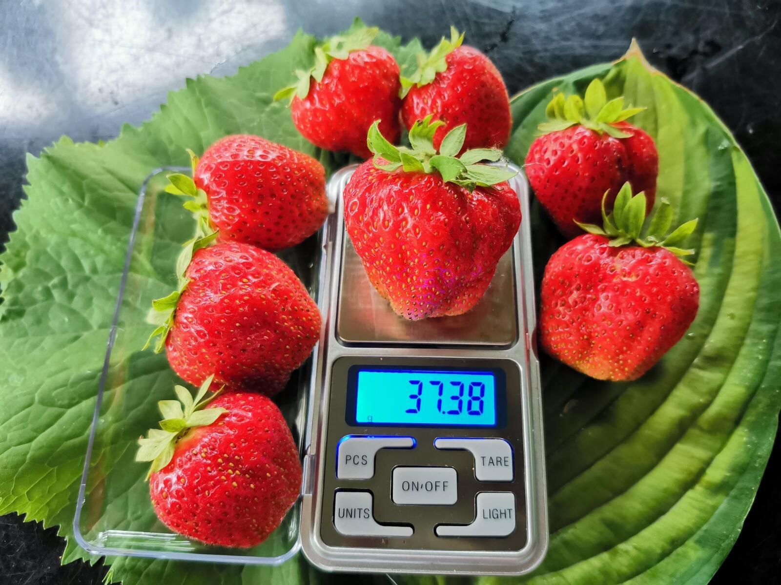 goods image