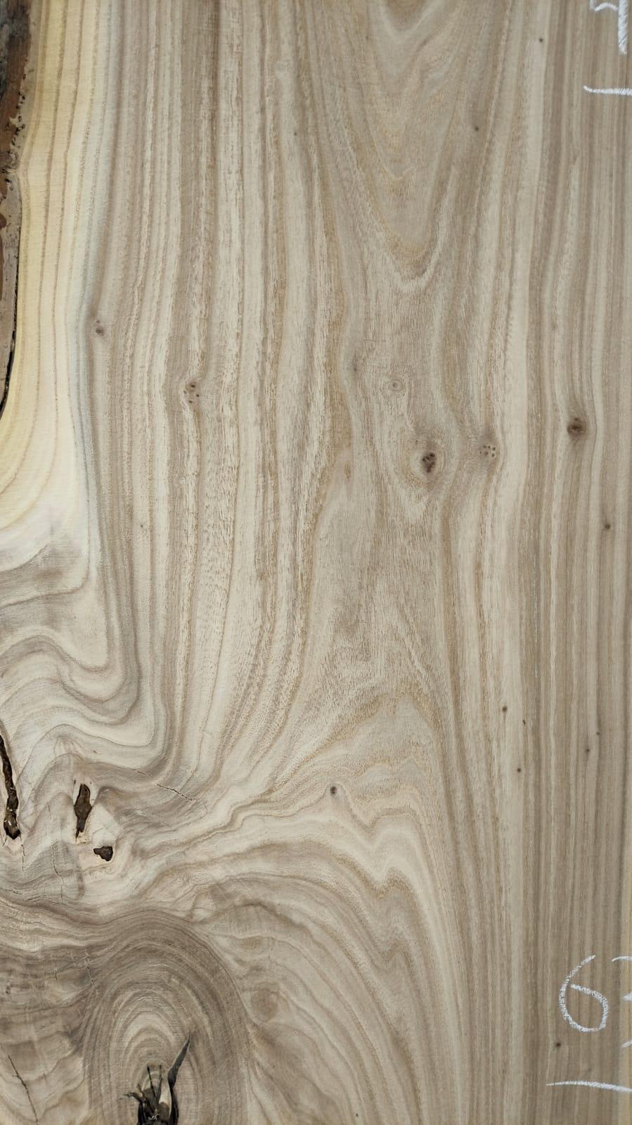 microscope preview