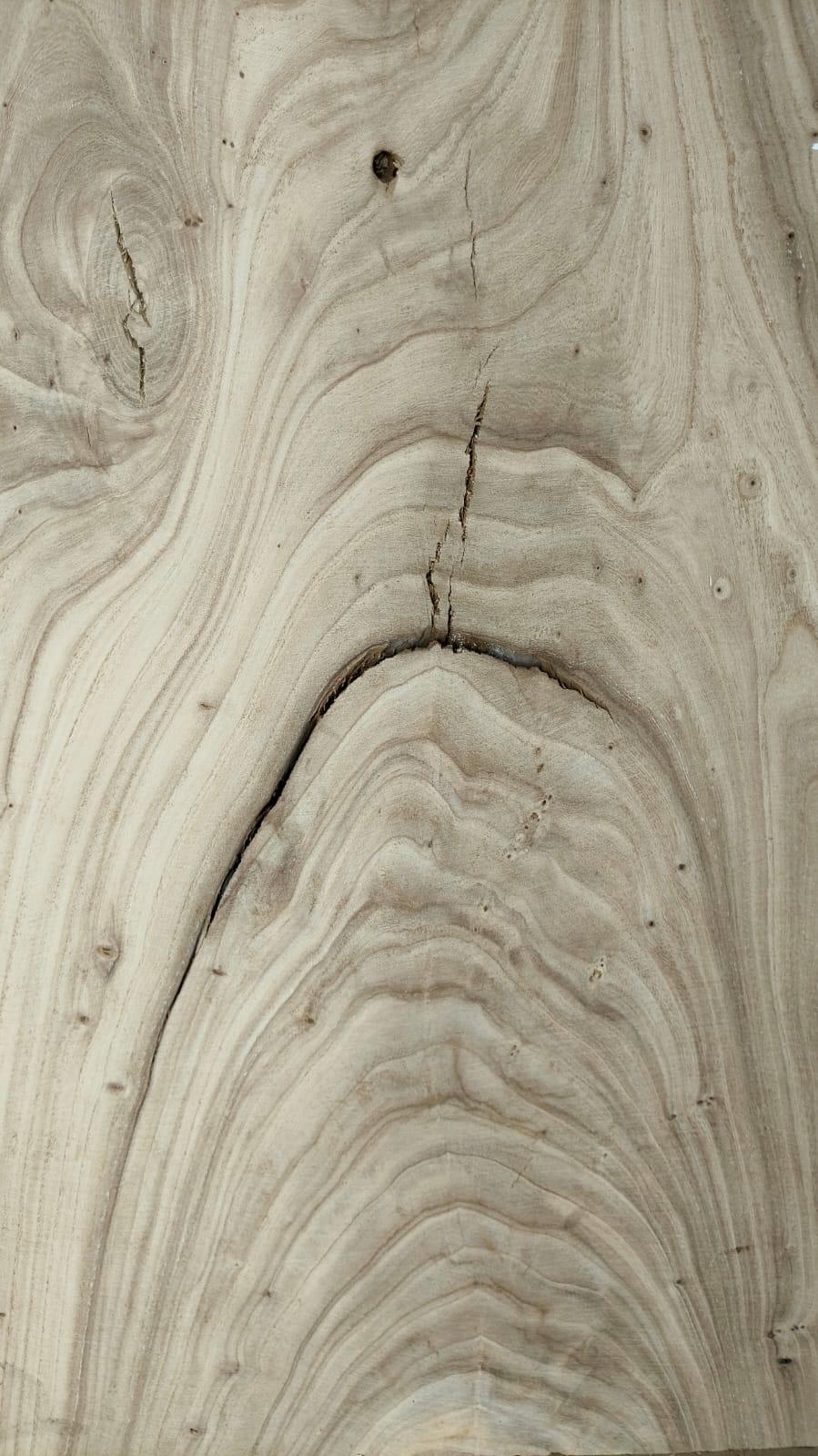 microscope preview