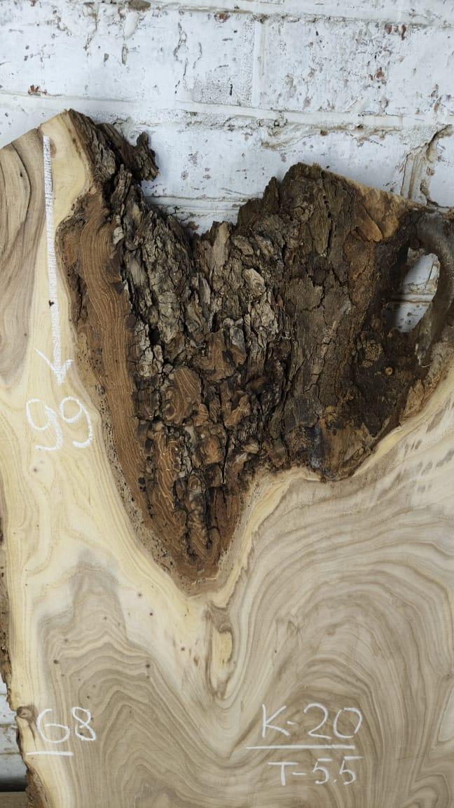 microscope preview