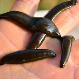 goods image