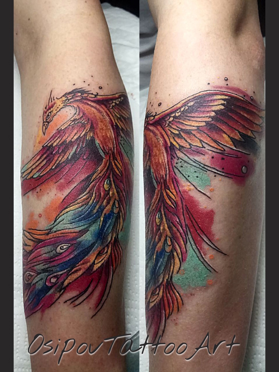 7_c_OsipovTattoo_Firebird