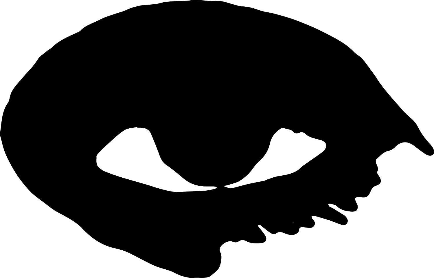 image alt eye