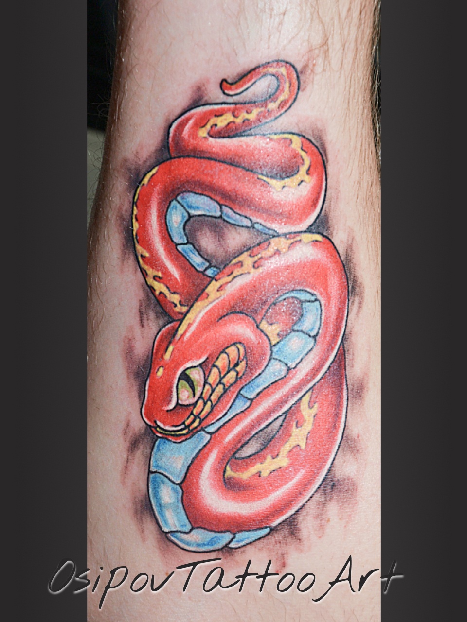 4_c_OsipovTattoo_red snake