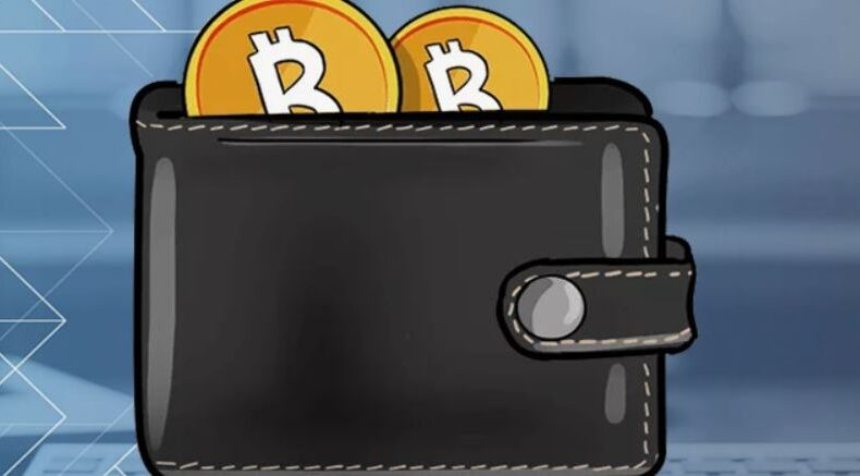 Криптовалютные кошельки: как выбрать и настроить?