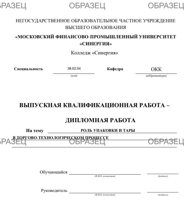 пример дипломной работы